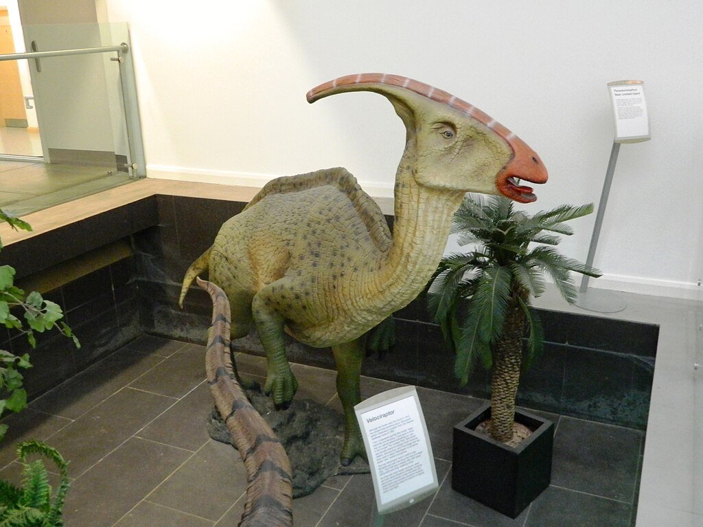 Parasurolophus, dinosaurs, Ireland