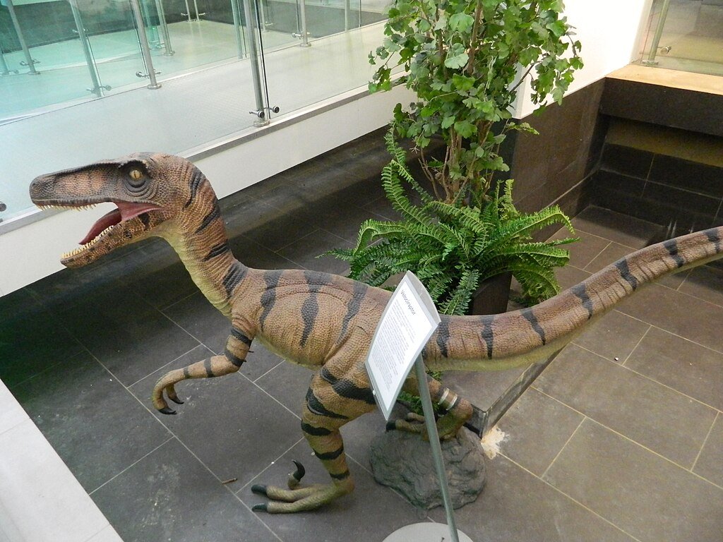 Velociraptor Dinosaur, Ireland