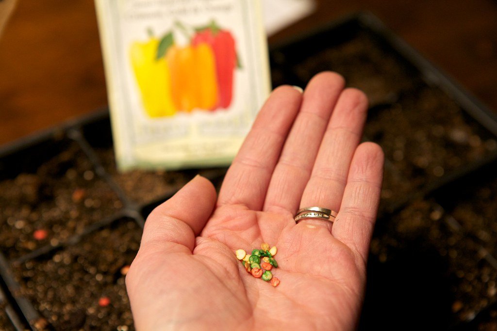 Planting seeds