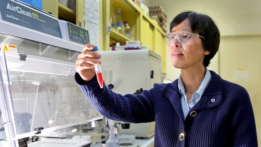 Research methylmercury