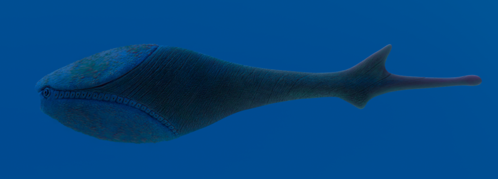 Arandaspis, prehistoric creature