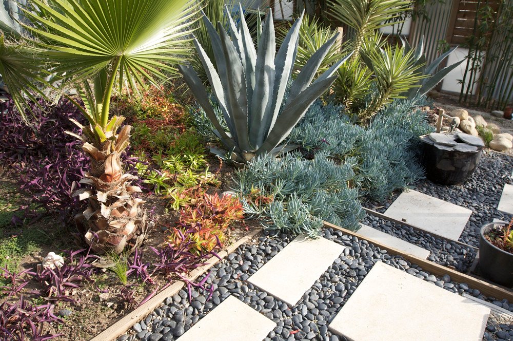 Xeriscape.