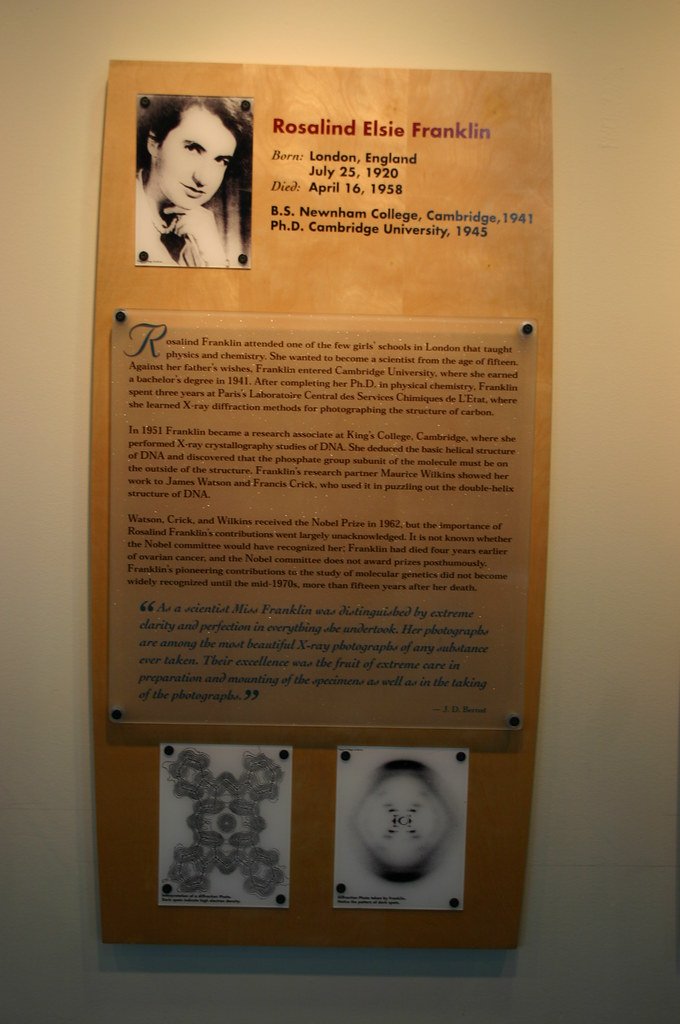 Rosalind Franklin, DNA, genetics