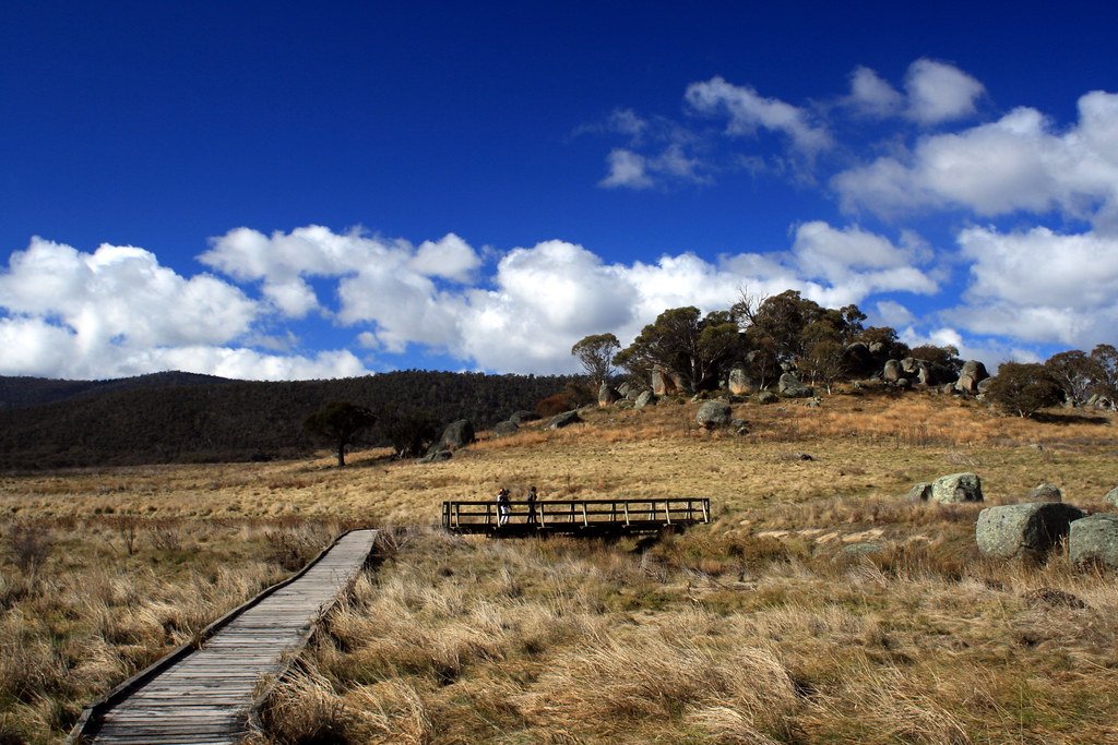 Namadgi National Park, ACT national park, native species