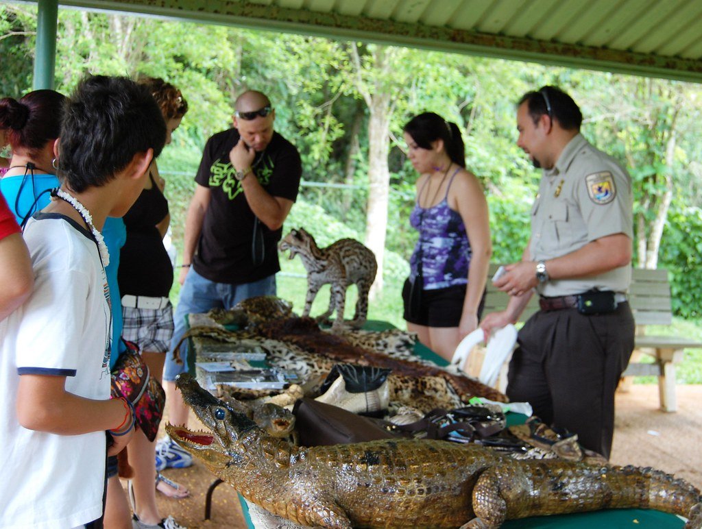 Wildlife Inspector Javier Pacheco talks about illegal animal trade and sanctions.
