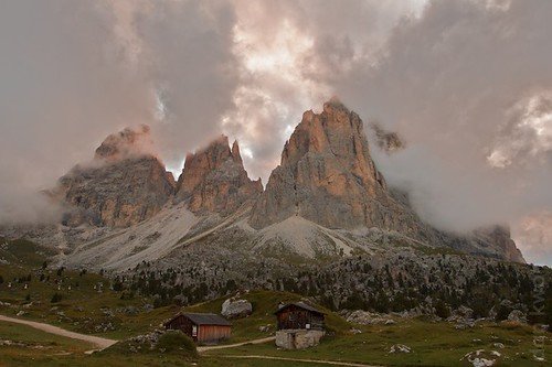 Ghost forest, Italy, Dolomites