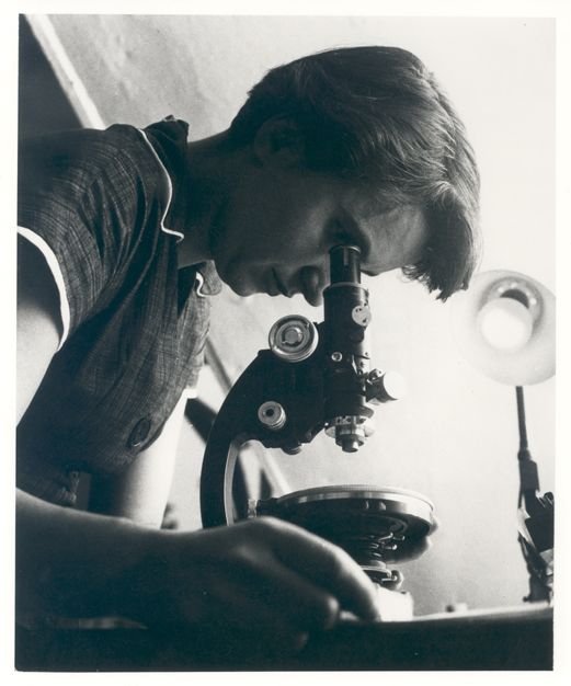 Rosalind Franklin, DNA double helix, genetics