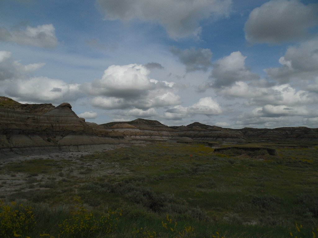 Hell Creek Formation, fossils