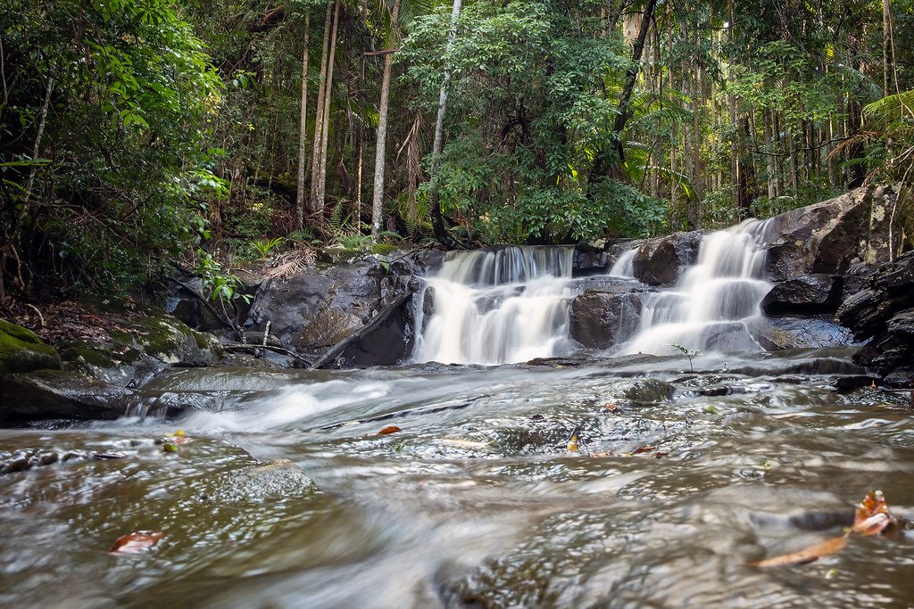 Bellthorpe Falls.