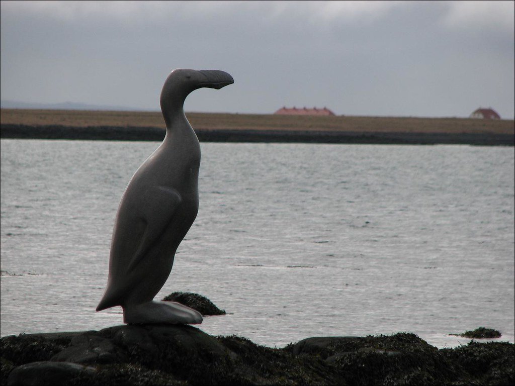 Great Auk, extinct animals