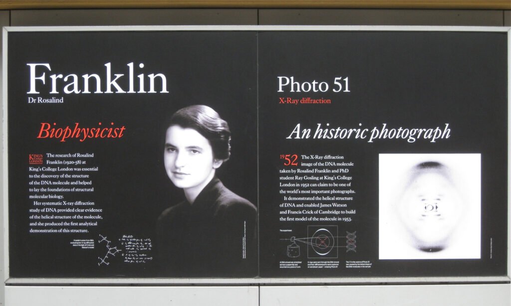 Rosalind Franklin , DNA double helix, genetics