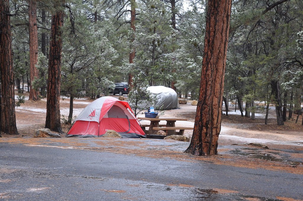 Camping in the wild