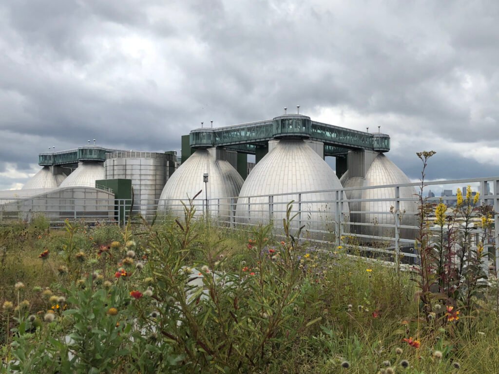 NYC green roof movement, roof garden