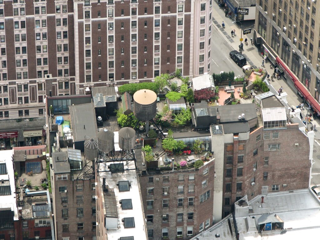 NYC green roof movement