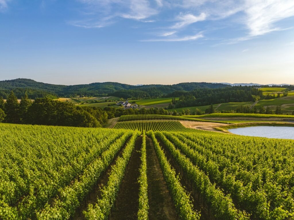 A view of a winery and the land beyond.