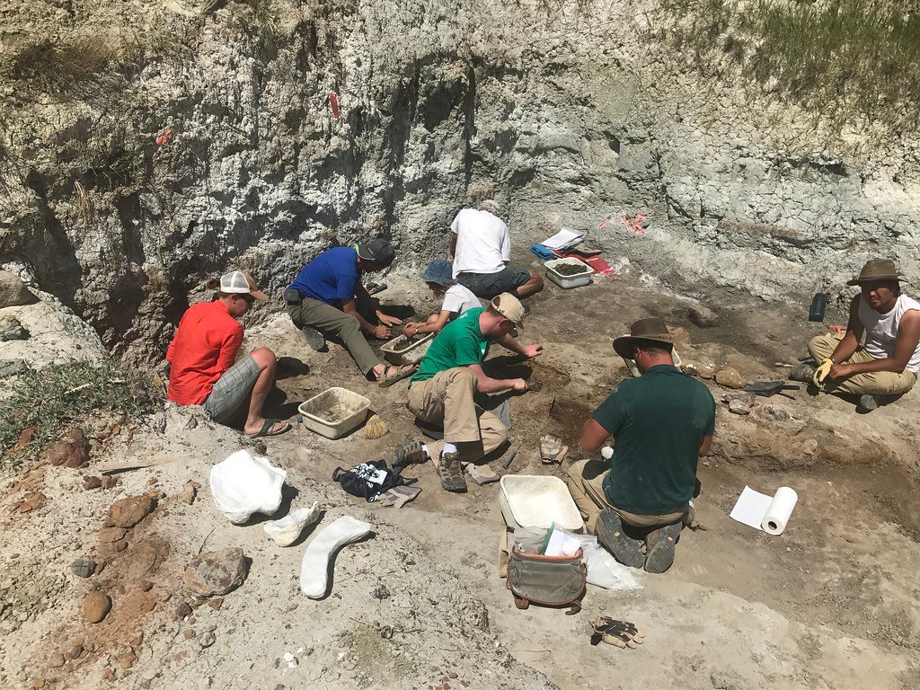 Paleontologists, Alberta, Canada dinosaur