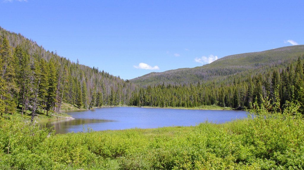 Montana wilderness