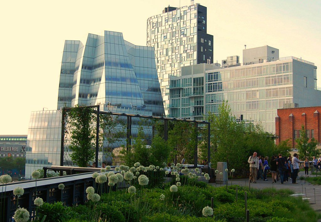 NYC green roof movement, roof garden