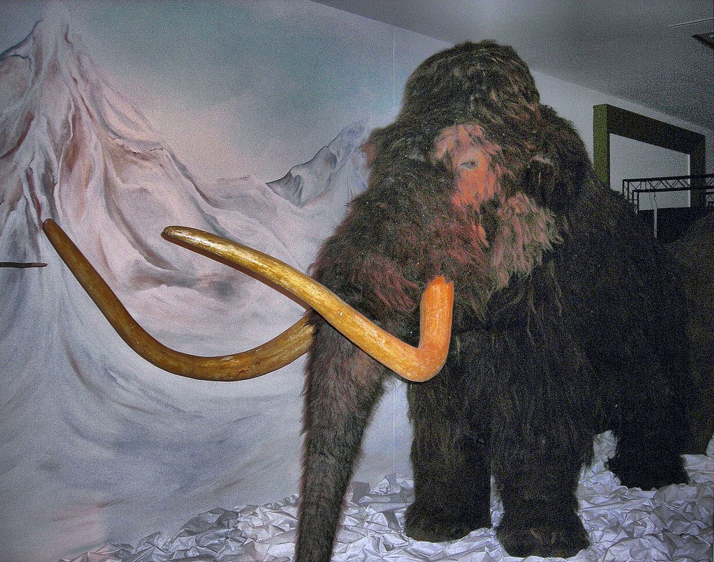Mammoth in Horniman Museum London