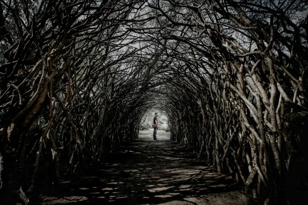 Man standing in the middle of The Dark Hedges.