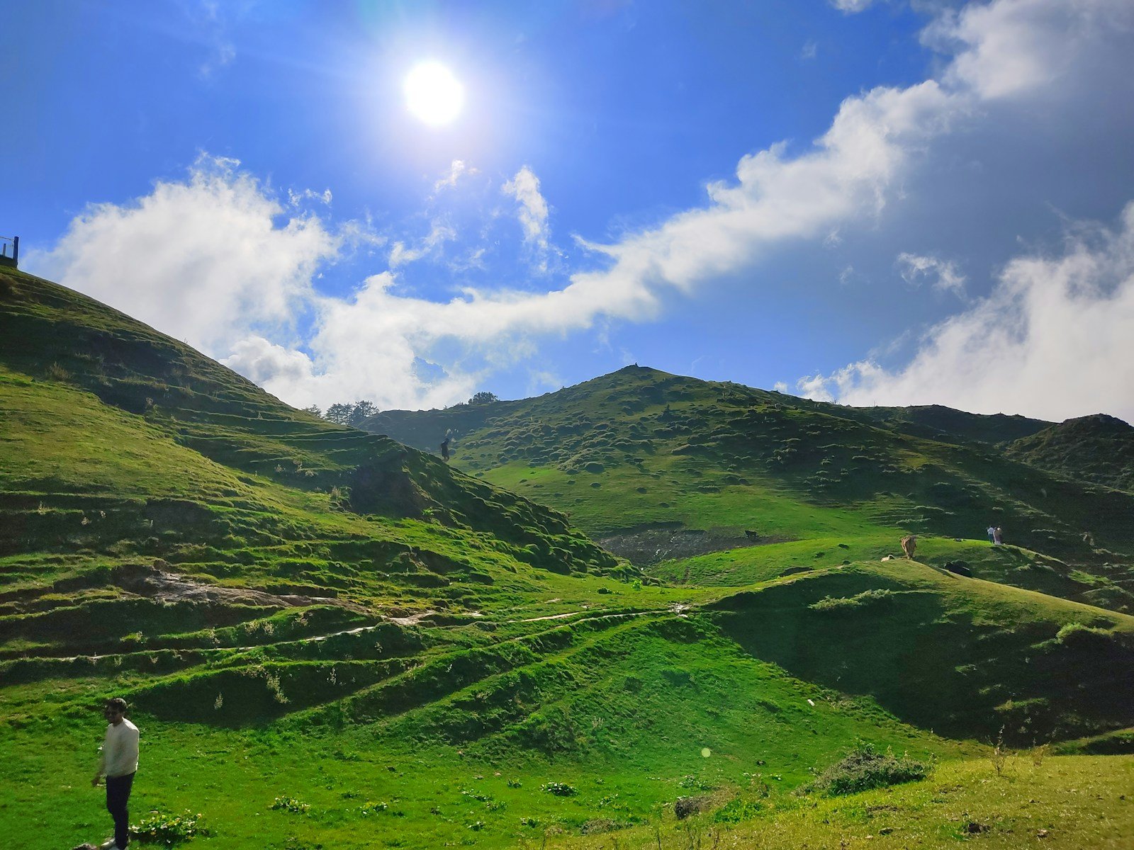 The Lost Viking Settlement of Canada: Is There More to Discover Beyond L’Anse aux Meadows?