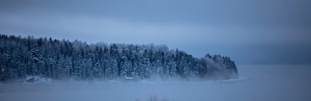 bird's-eye view photography of Siljan Lake and forest covered with snow.