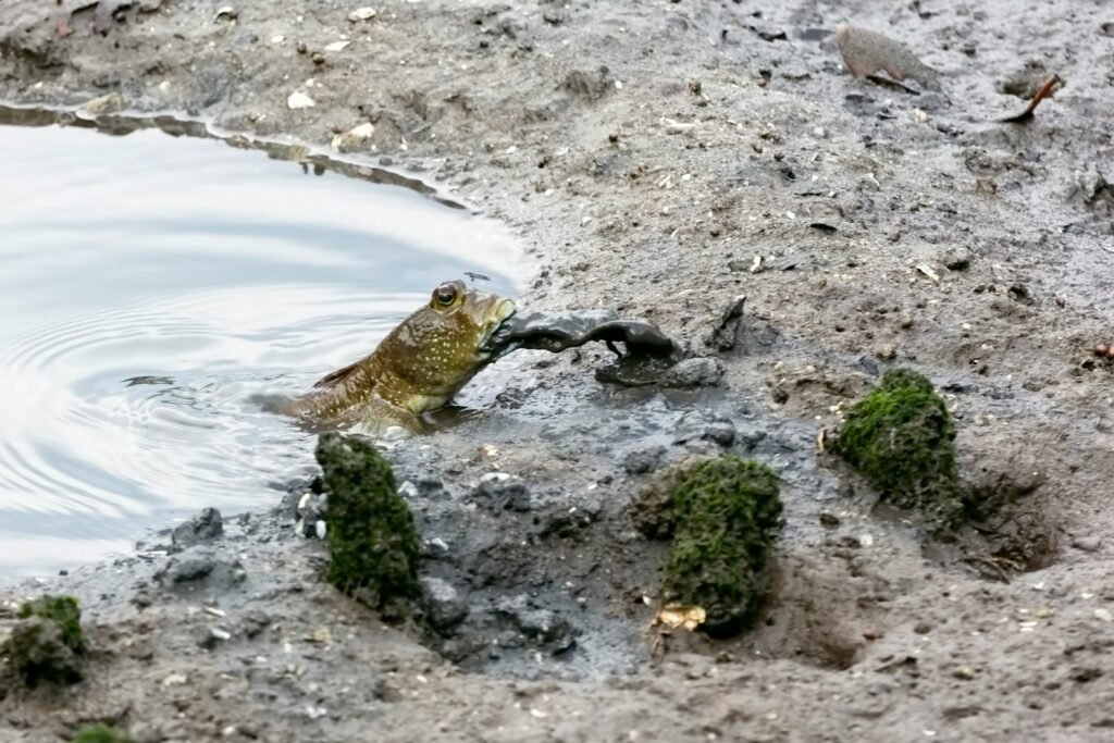 brown frog on body of water