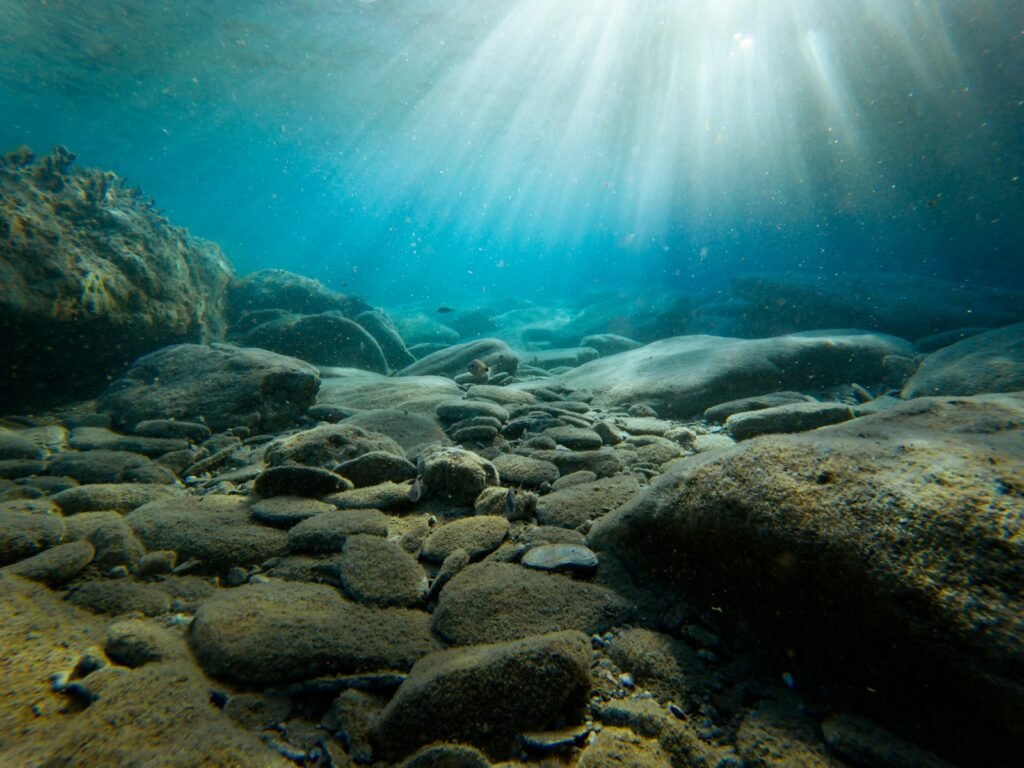 Rocks on sea bed