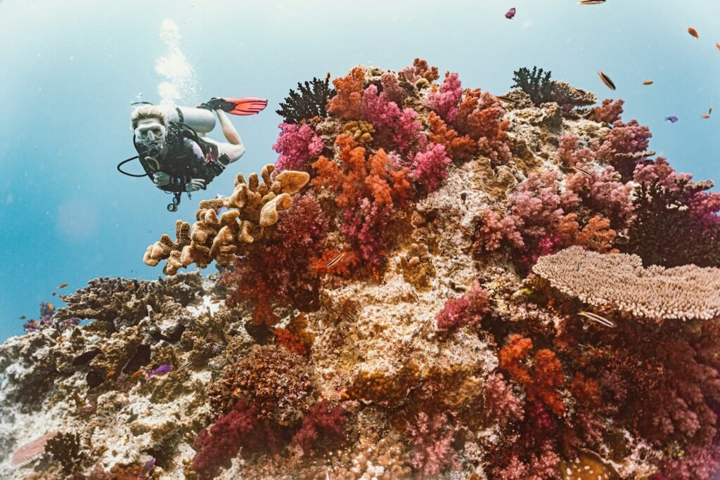 Diver over a colorful coral reef.