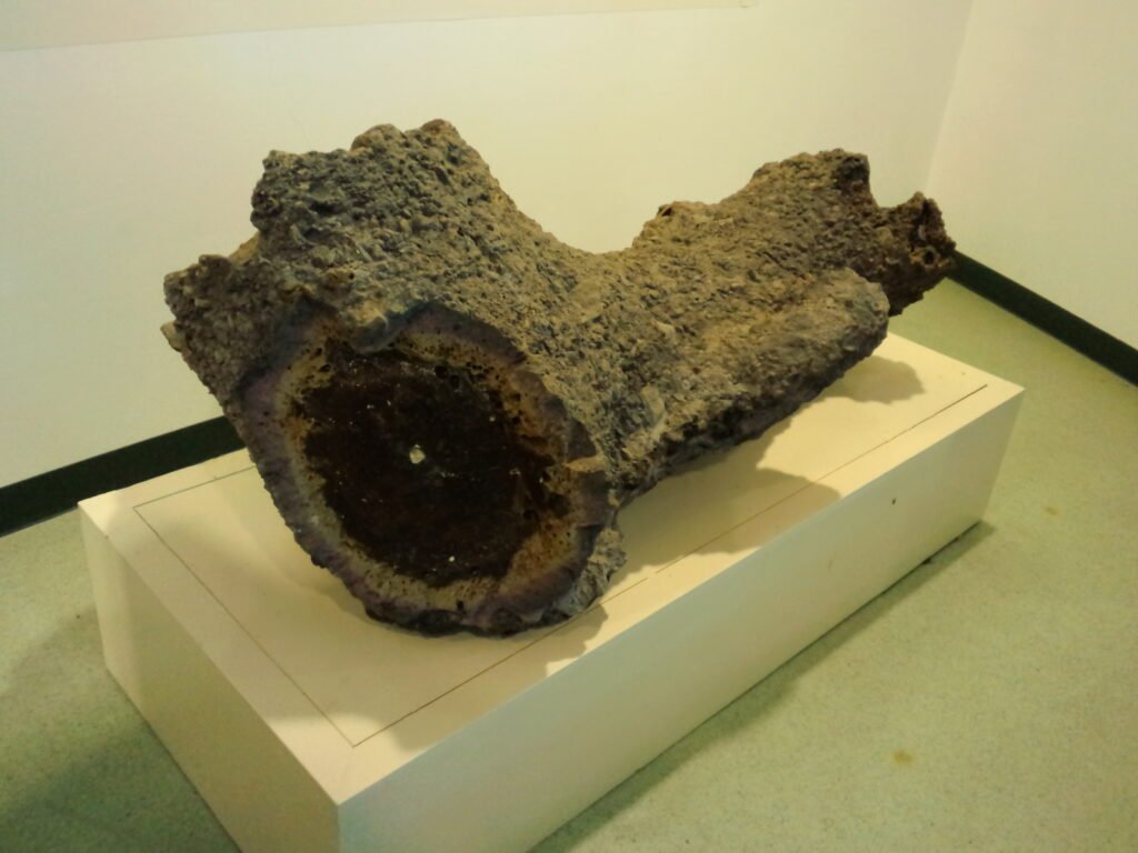 Fulgurite (lightning-formed stone), the first and largest in Japan, currently on display at the Iwami-zawa Museum of Local History and Science.