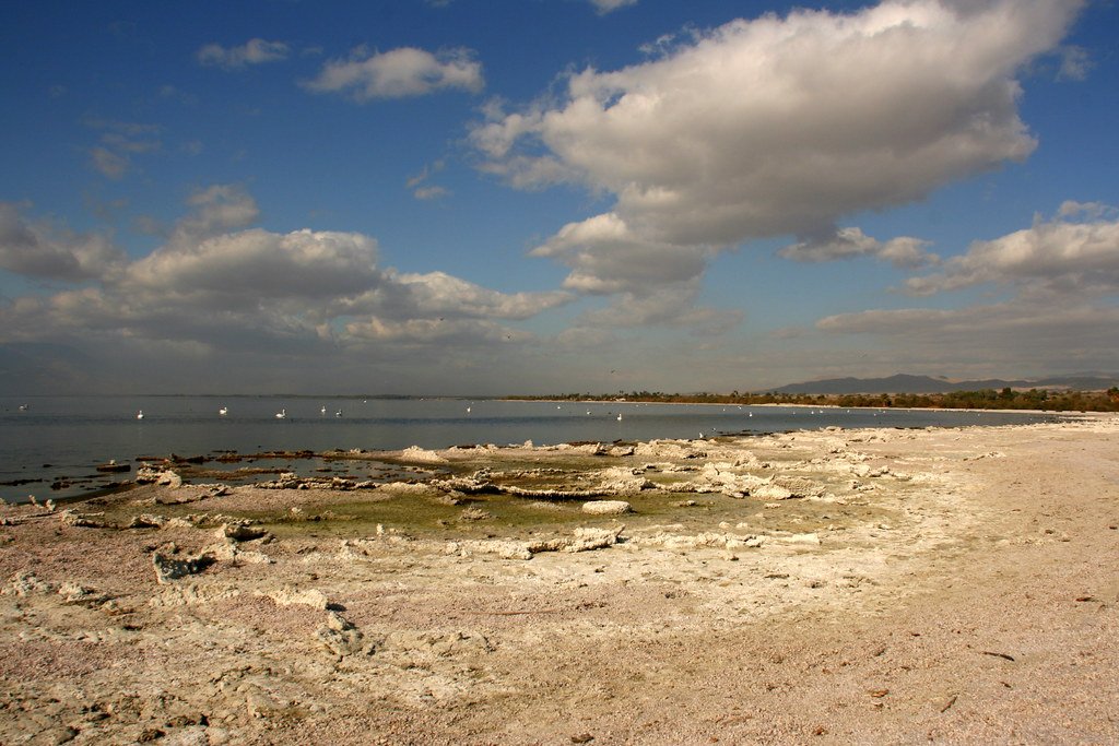 Salton Sea