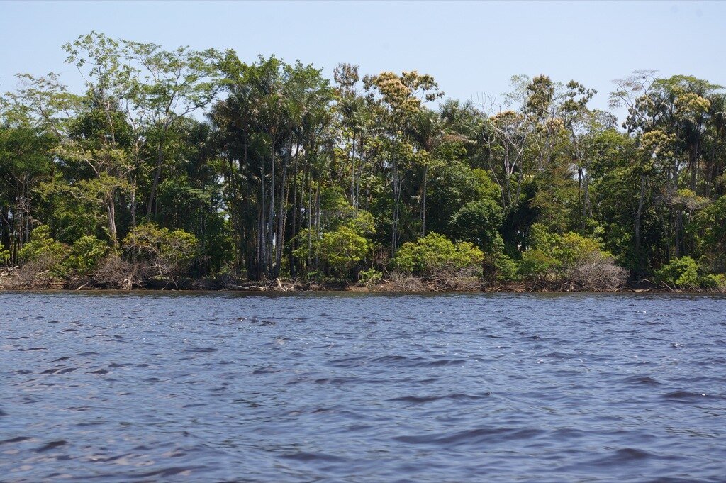 Amazon River
