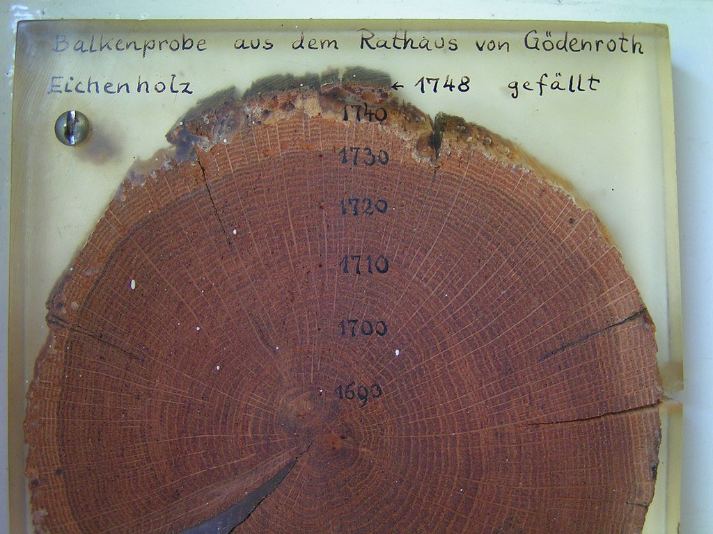 Tree Ring Analysis