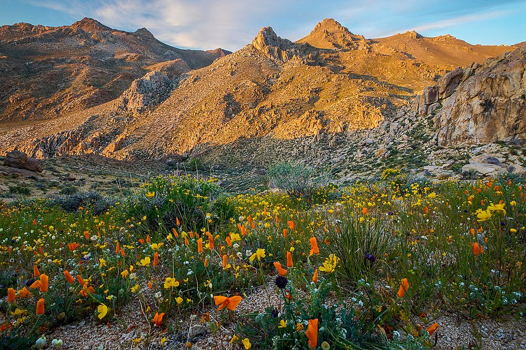 Owens peak wilderness