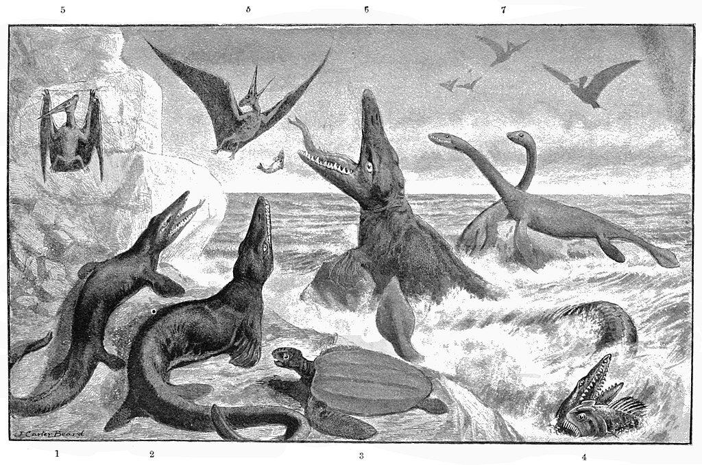 the great cretaceous ocean