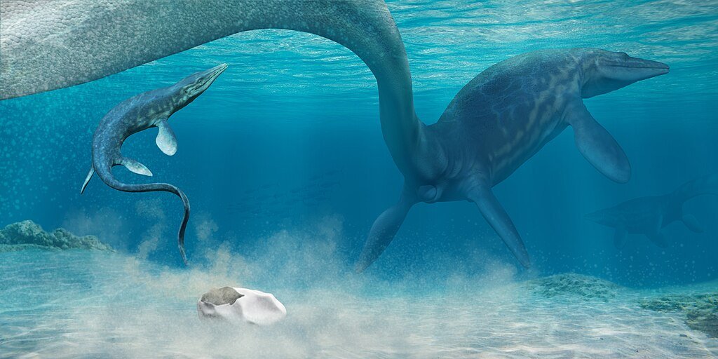 Mosasaurs