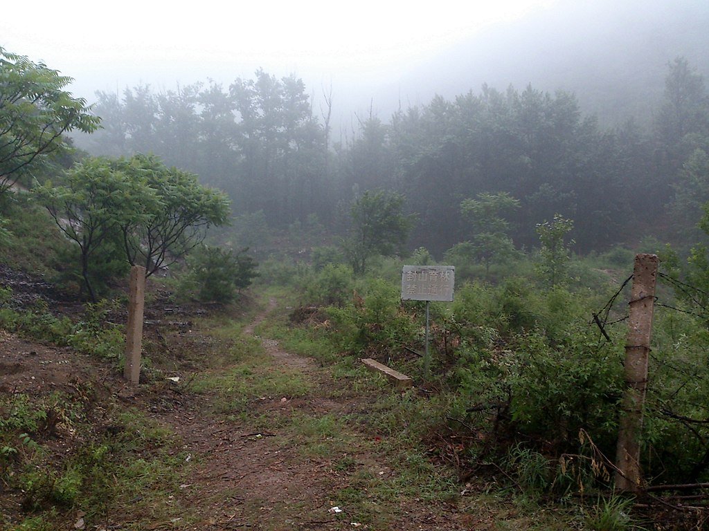 forest conservation area