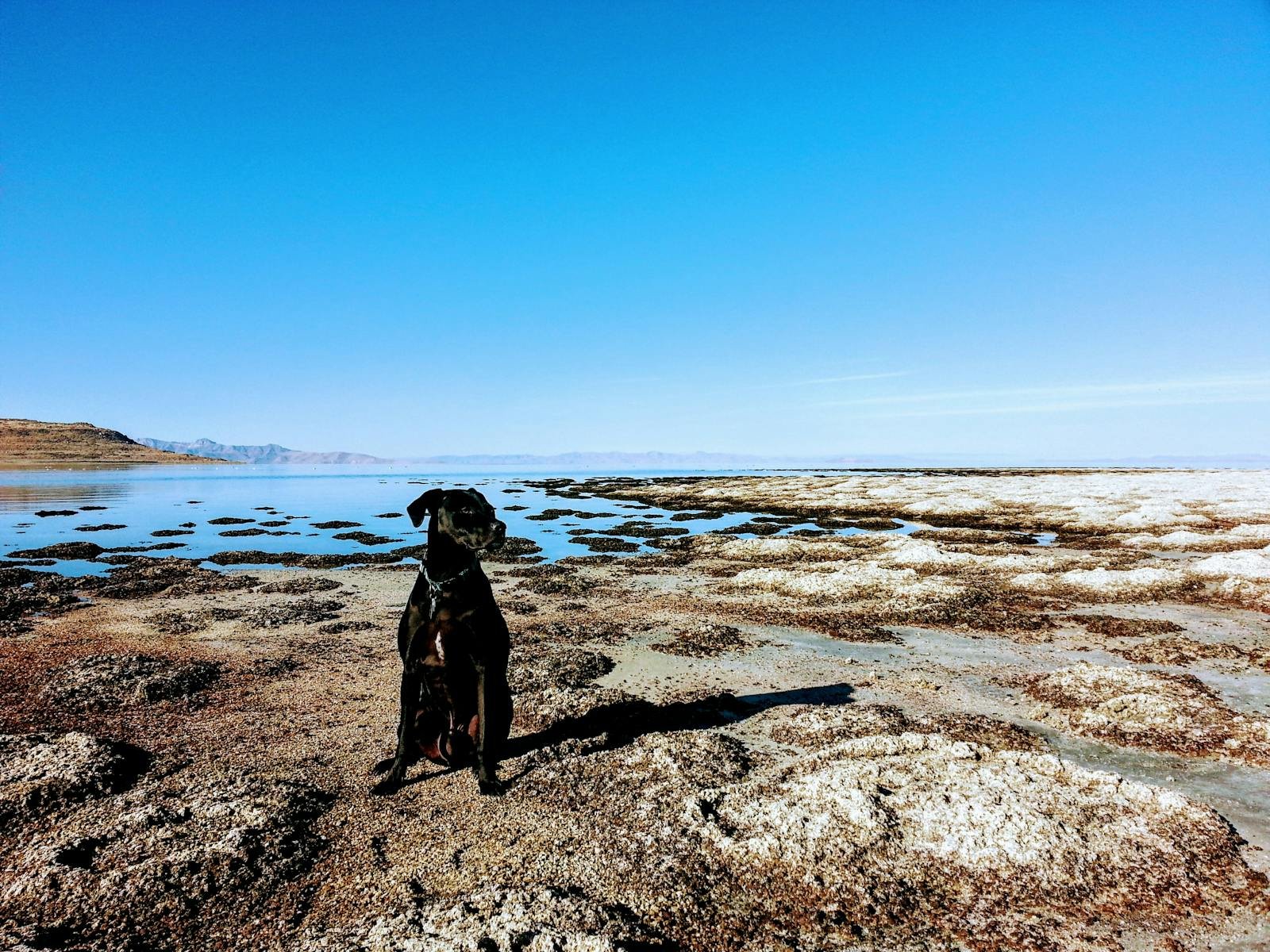 The Great Salt Lake’s Disappearance: Utah’s Shrinking Inland Sea and Its Toxic Dust Problem