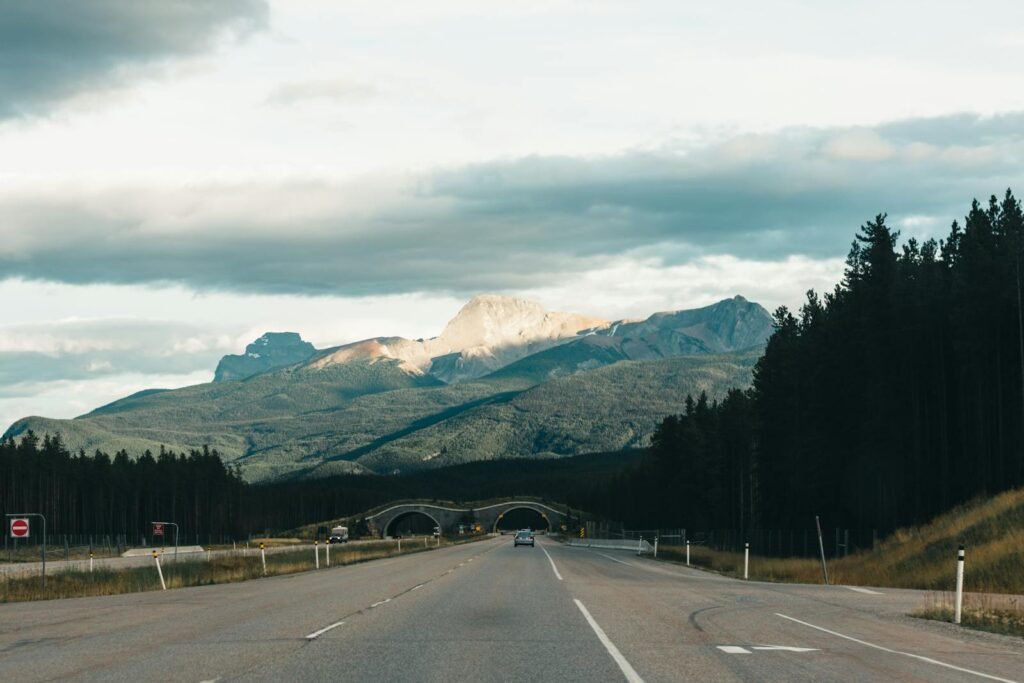 Highway through Canada's stunning Rocky Mountains with dramatic sky and pine trees.