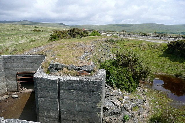 The Role of Policy and Management (image credits: wikimedia)