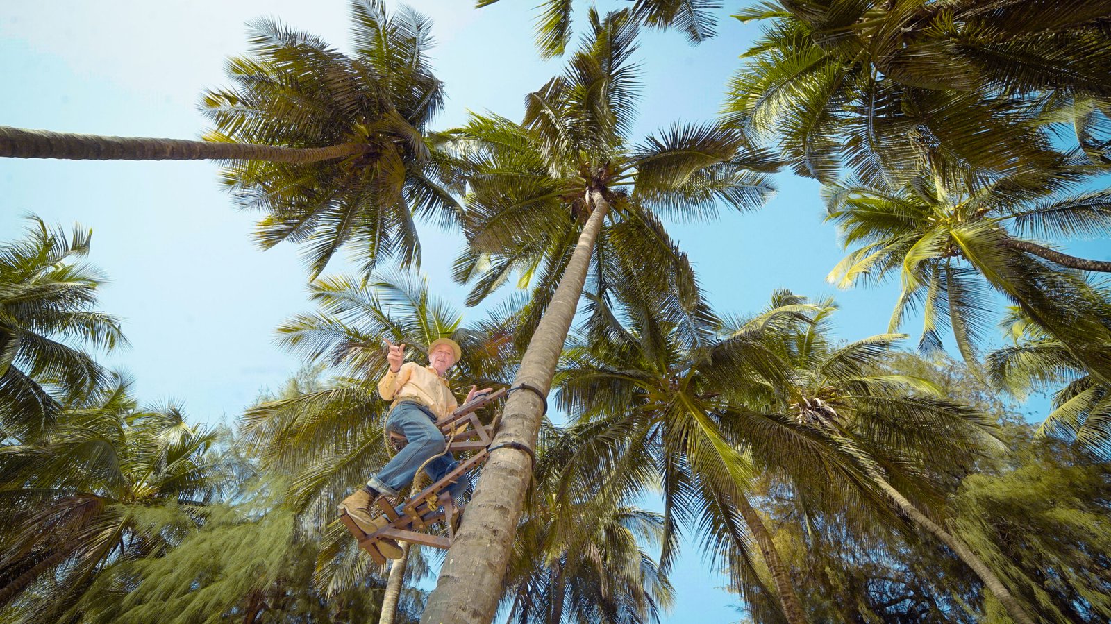 Management and Mitigation Strategies (image credits: wikimedia)