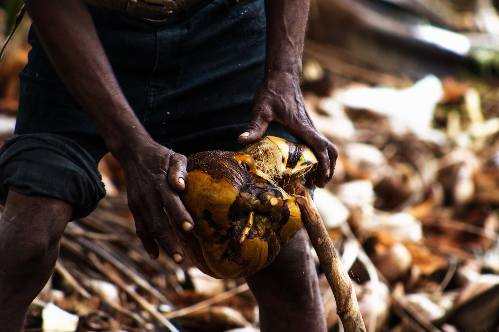 A Glimpse into the Future (image credits: wikimedia)