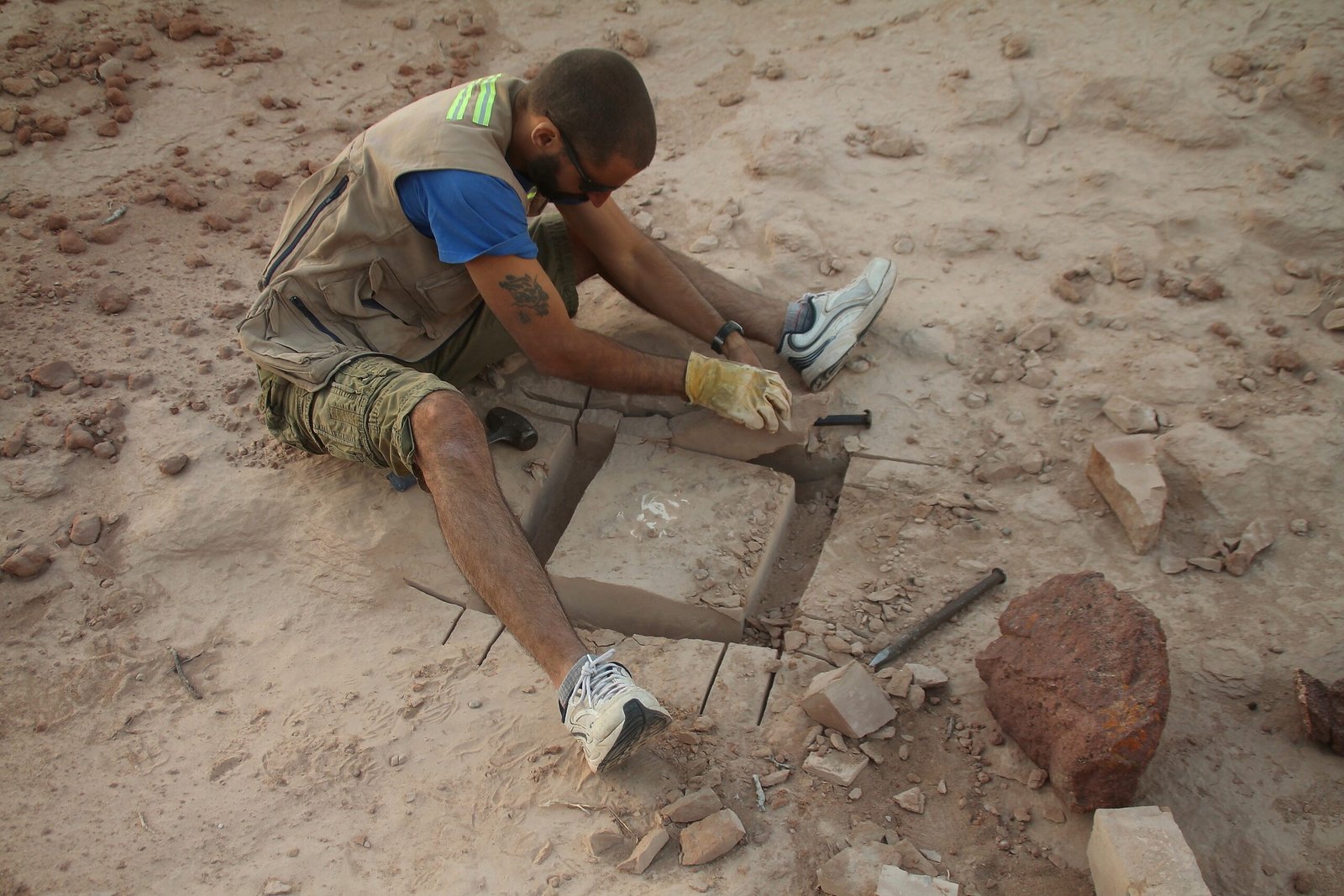 The Future of Dinosaur Research (image credits: wikimedia)