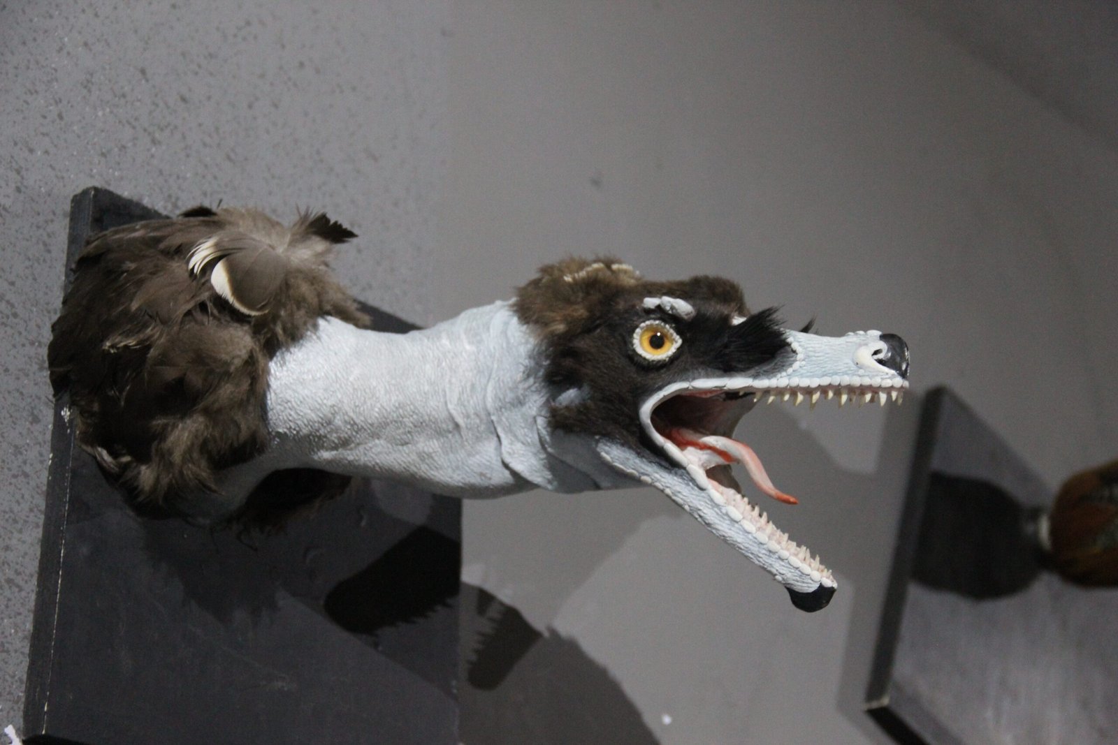 Challenges in Studying Dinosaur Feathers (image credits: wikimedia)