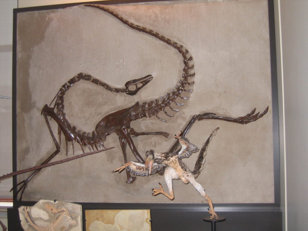 The Impact of Rapid Burial and Fossilization