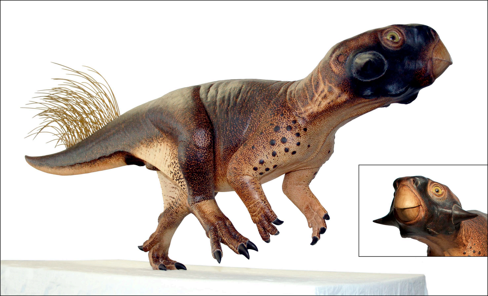 Camouflage and Concealment (image credits: wikimedia)