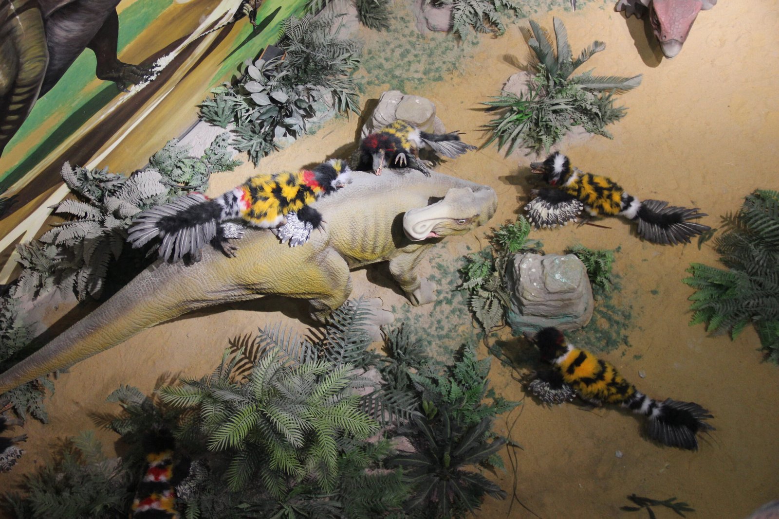 Protection and Defense (image credits: wikimedia)