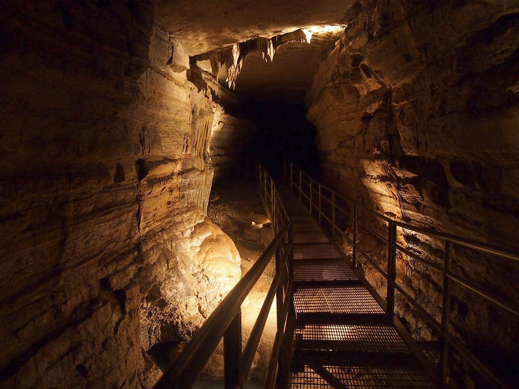 Final Thoughts: A Journey Beneath the Surface (image credits: wikimedia)