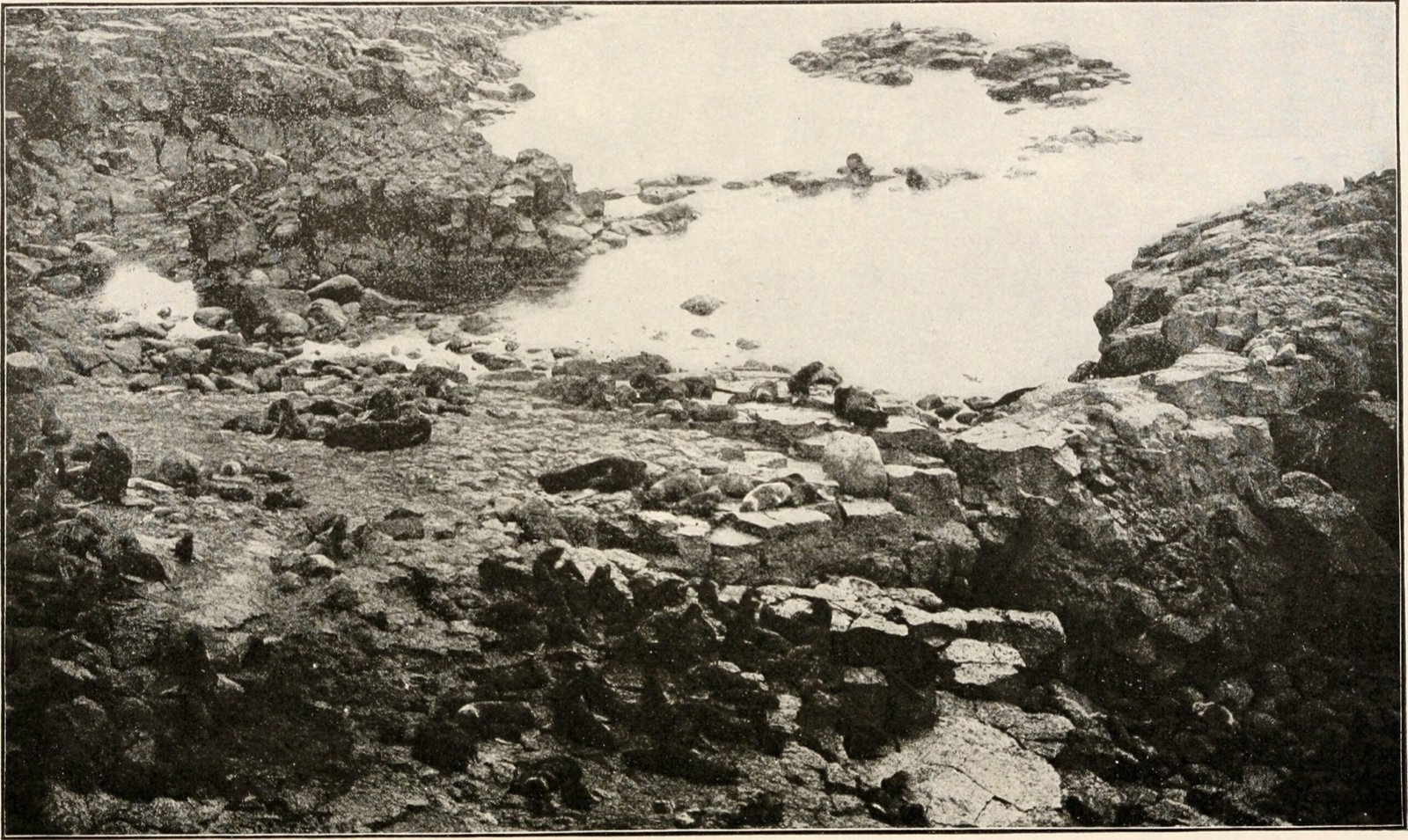 The Science Behind the Myth (image credits: wikimedia)