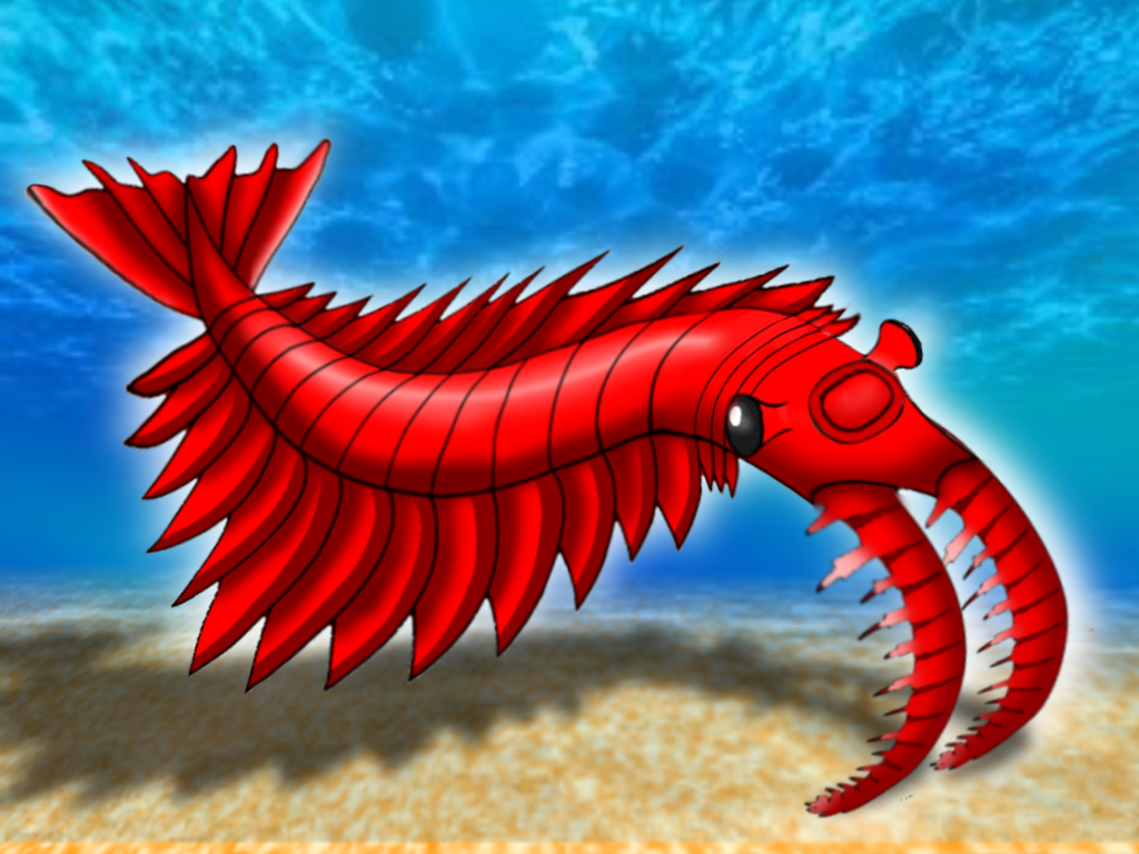 Anomalocaris: The Apex Predator of the Cambrian Seas (image credits: wikimedia)